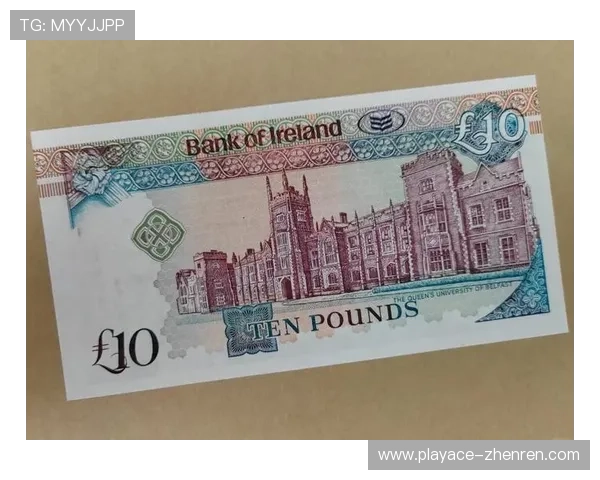 TA森林上财年税前利润达1010万英镑 低买高卖策略推动业绩显著增长